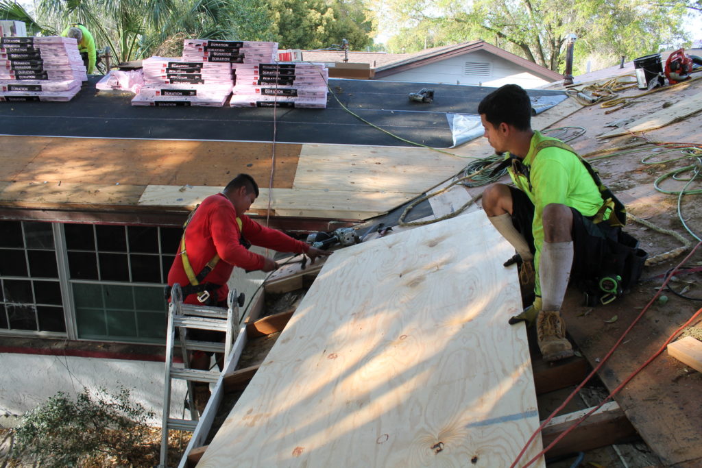 roofers making roof repairs to the roof deck with new plywood before installing new roof