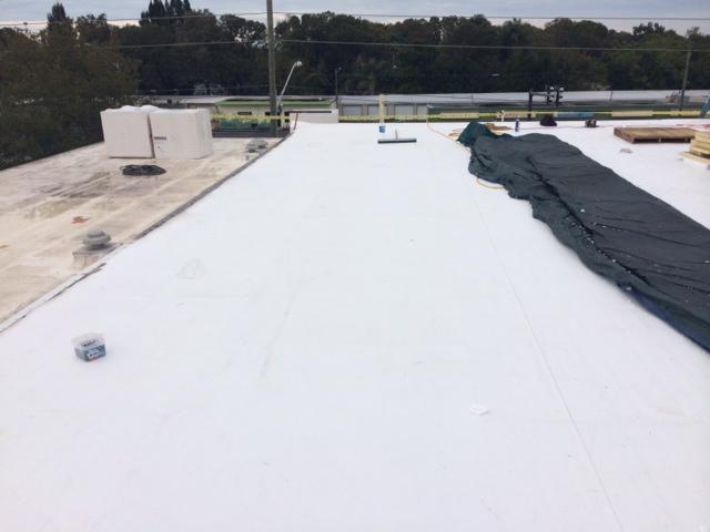 commercial flat TPO roof