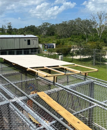 Six Hillsborough Vets Received New Roofs Through Owens Corning Program -  Habitat for Humanity of Hillsborough County, FL