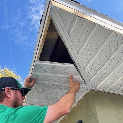 Repairing Soffit