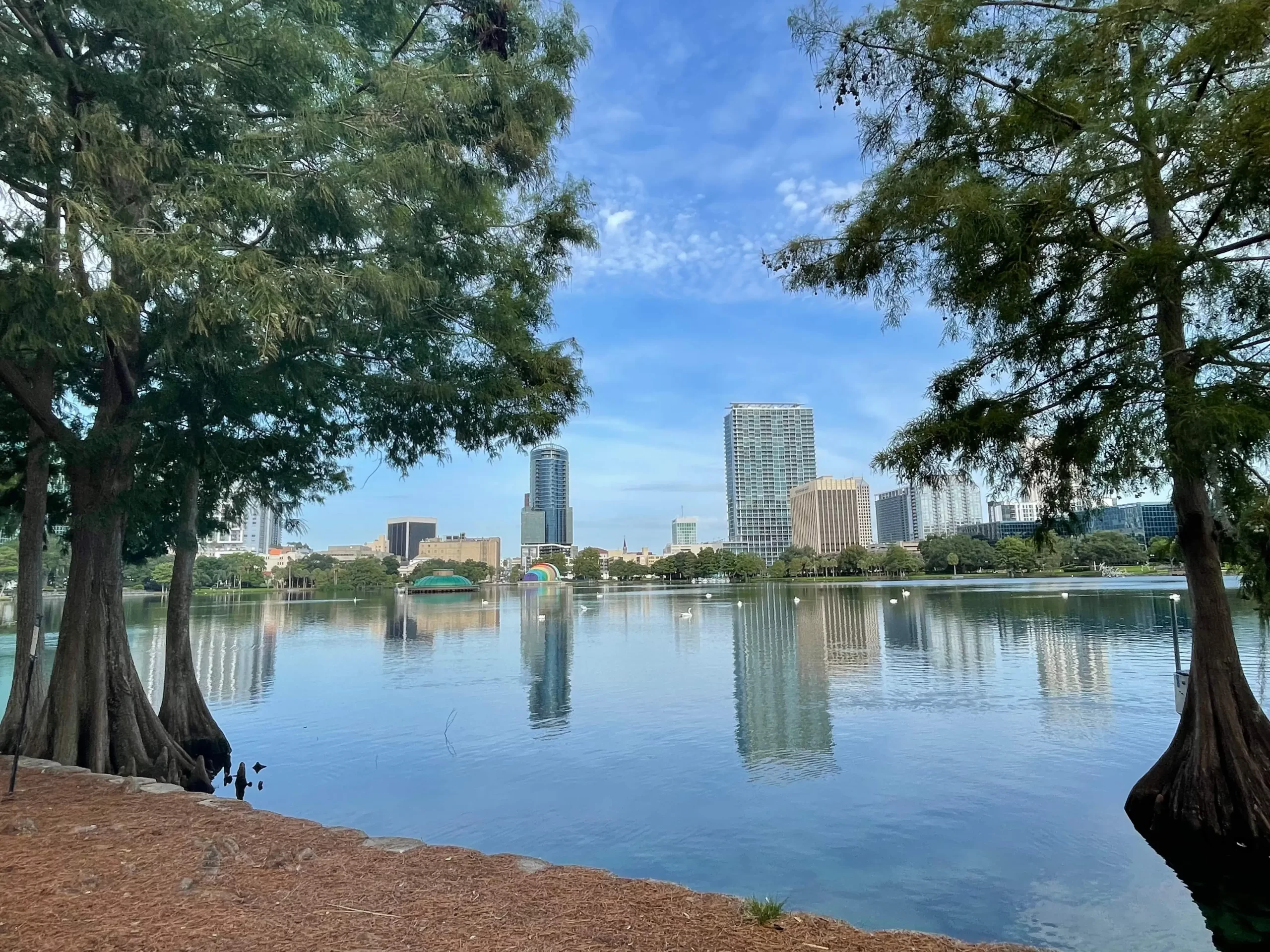 Orlando City Line