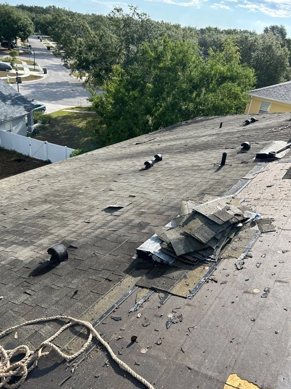 Before Image 1