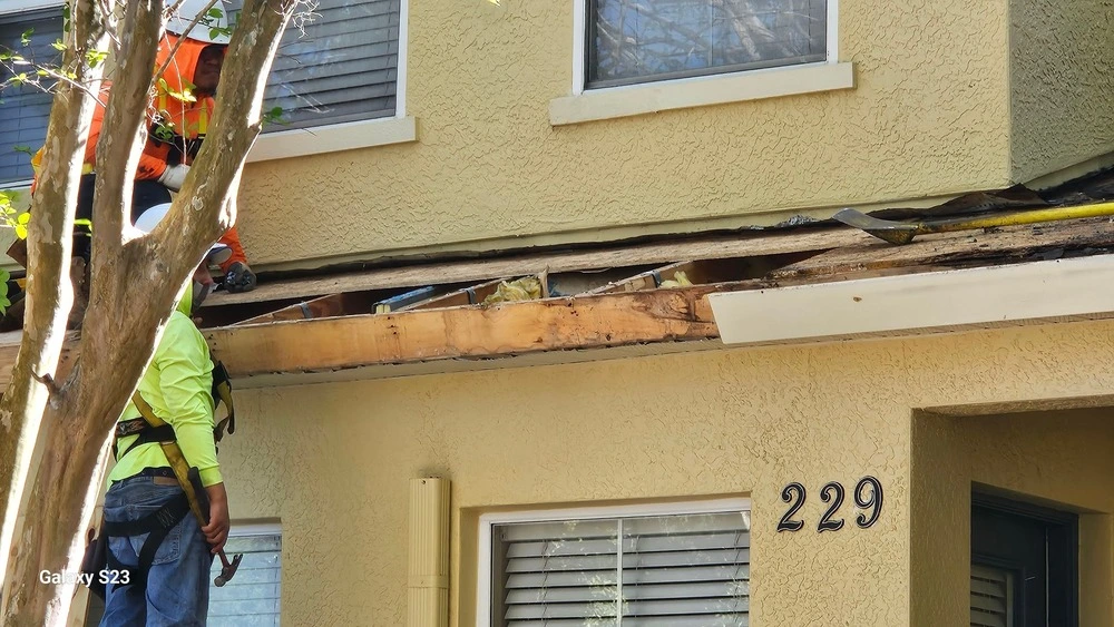 Before Image 8