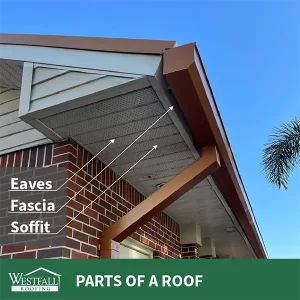 photo of a house from under the roof with arrows indicating the eaves, fascia & soffit