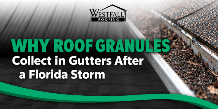 why roof granules collect in gutters after storm featured image